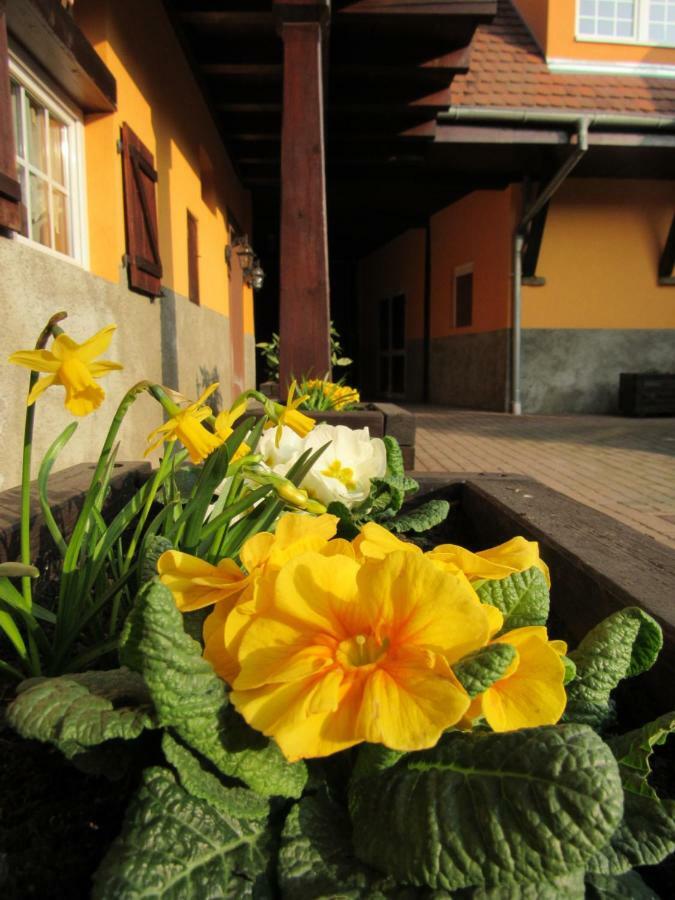 Maison D'Hotes La Ferme Pierre*** Donnenheim エクステリア 写真