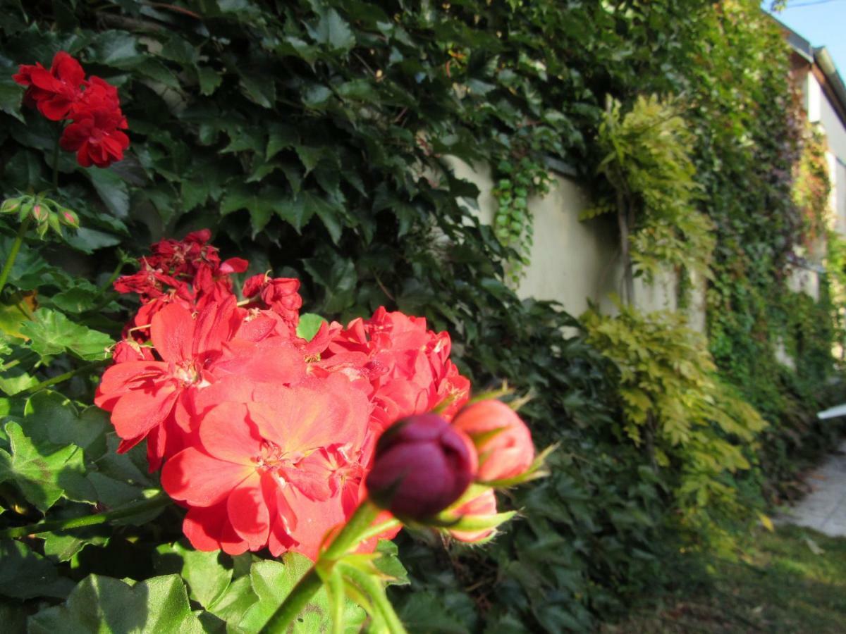 Maison D'Hotes La Ferme Pierre*** Donnenheim エクステリア 写真